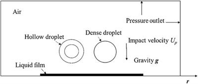 Simultaneous Impact of Hollow Droplet and Continuous Dense Droplet on Liquid Film